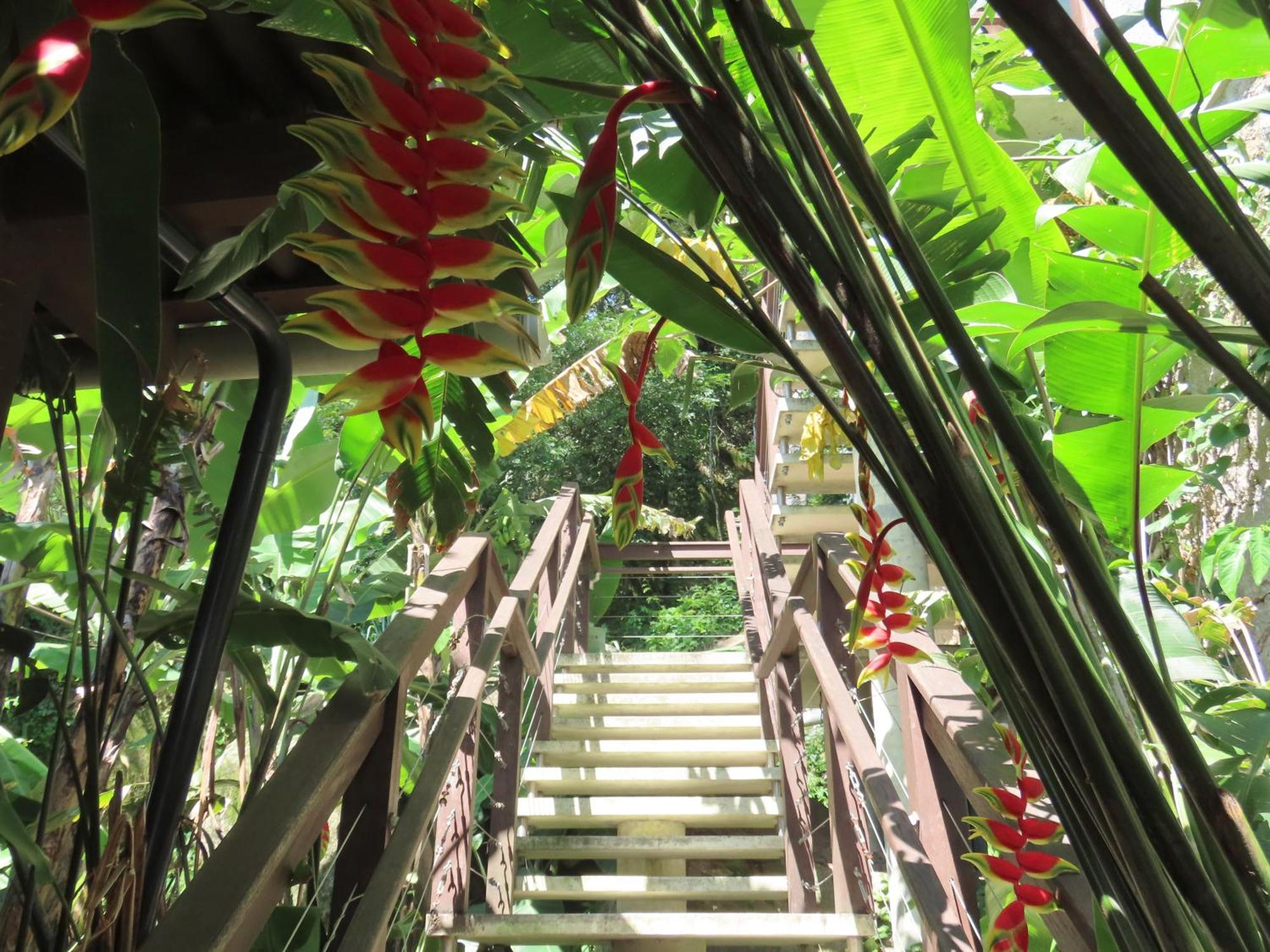 Patio Floriparadise Florianópolis المظهر الخارجي الصورة
