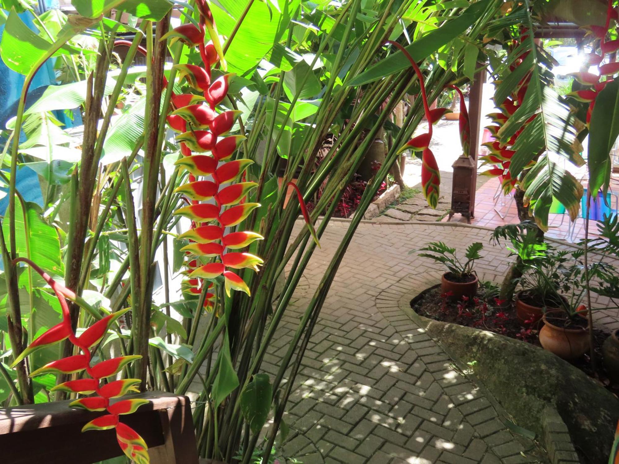 Patio Floriparadise Florianópolis المظهر الخارجي الصورة